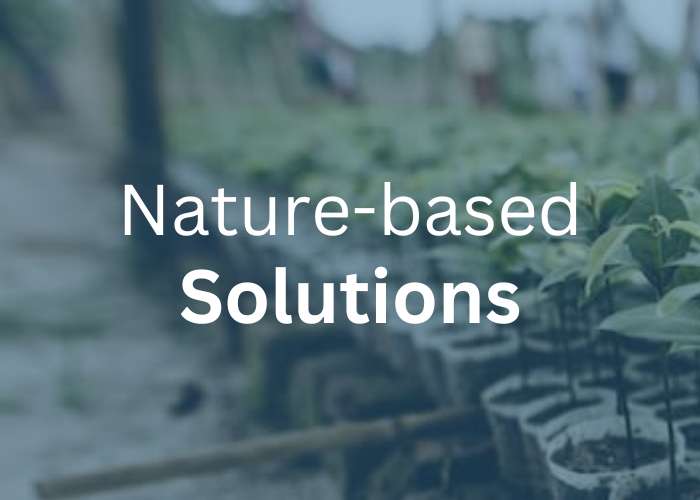 nature based solutions